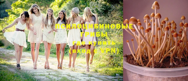 apvp Медвежьегорск