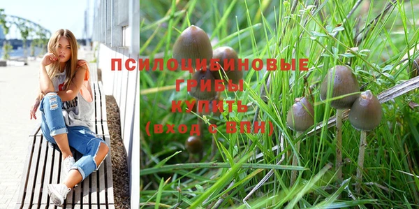 каннабис Майский