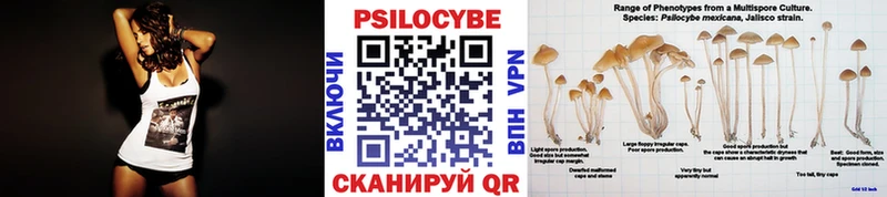 shop телеграм  Тутаев  Галлюциногенные грибы Psilocybine cubensis 