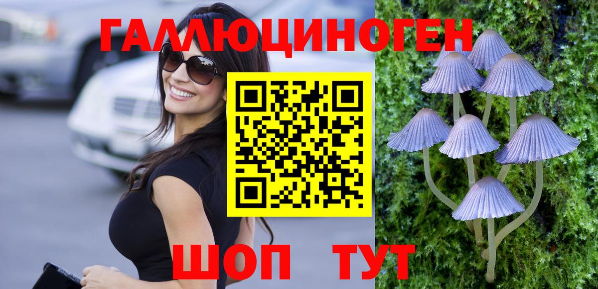 Псилоцибиновые грибы мицелий  Тутаев 