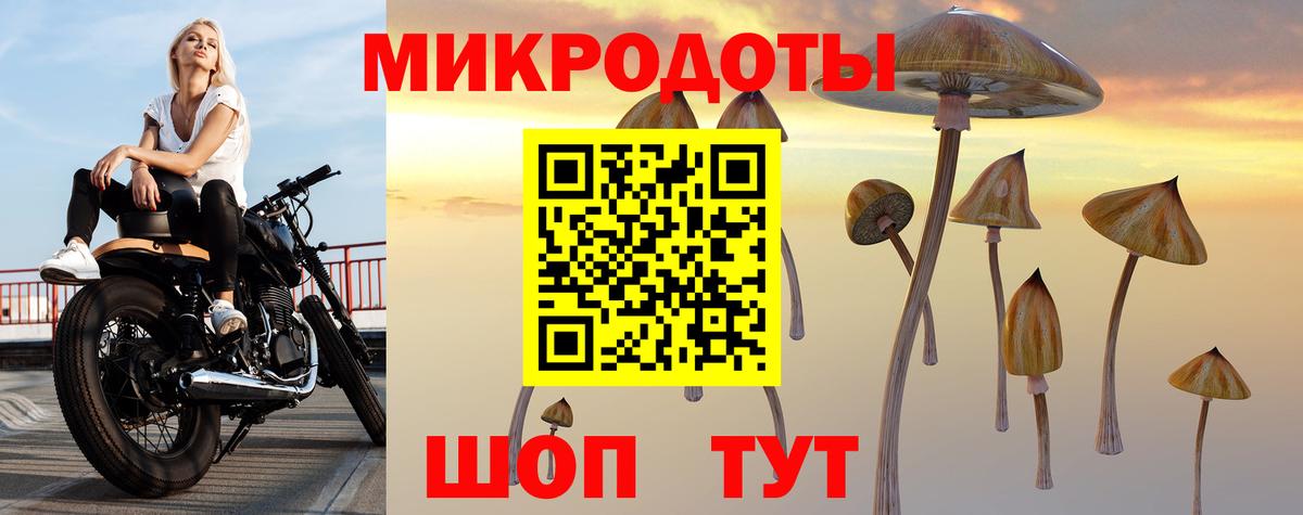 Галлюциногенные грибы ЛСД Тутаев