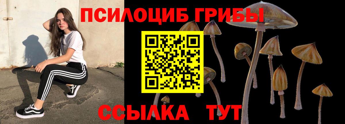 Галлюциногенные грибы Psilocybine cubensis  Псилоцибиновые грибы Cubensis  Тутаев  Вход с VPN 